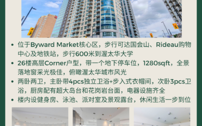 【于军地产 好房出租】ByWard Market 核心区26楼环幕全景阔绰大两居 📍 2601-242 Rideau Street